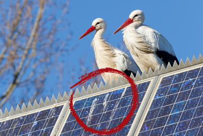 birds-on-solar-panel