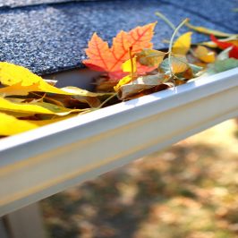 Blocked Gutters – We Can Help