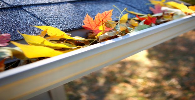 Blocked Gutters – We Can Help